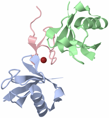 Image Biological Unit 1