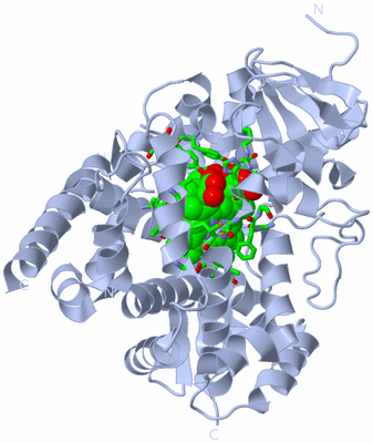 Image Biol. Unit 1 - sites