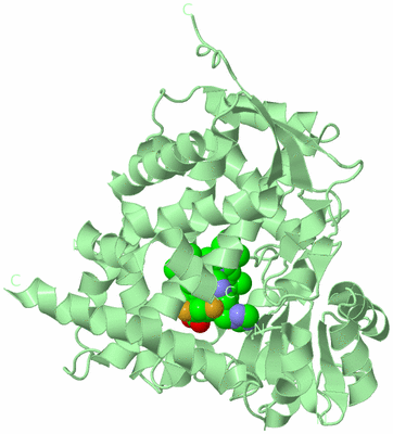 Image Biological Unit 2