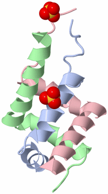 Image Biological Unit 1