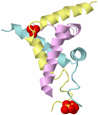 Image Biological Unit 2