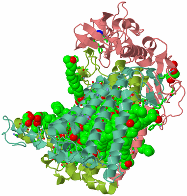 Image Asym./Biol. Unit - sites