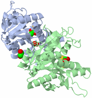 Image Asym./Biol. Unit