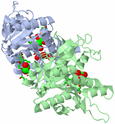 Image Asym./Biol. Unit - sites