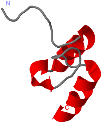 Image NMR Structure - model 1