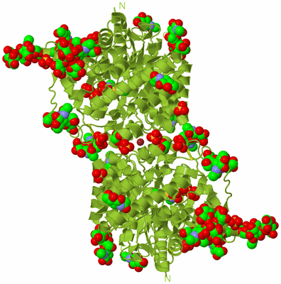 Image Biological Unit 1