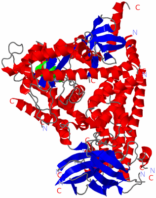 Image Asym./Biol. Unit