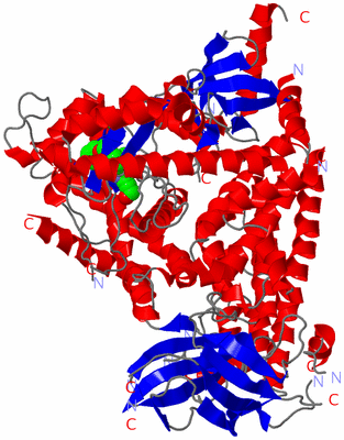 Image Asym./Biol. Unit