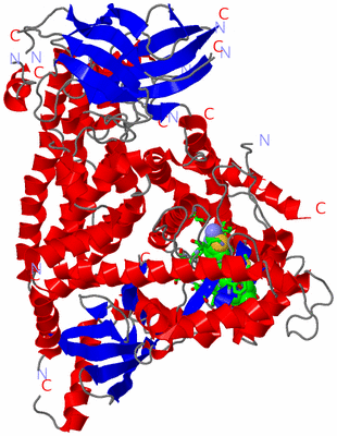 Image Asym./Biol. Unit - sites