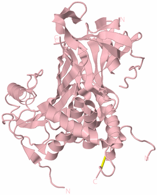 Image Biological Unit 3