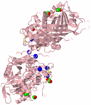 Image Biological Unit 1