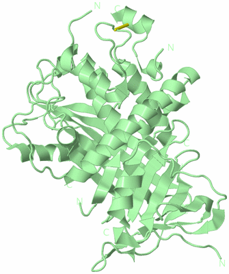 Image Biological Unit 2