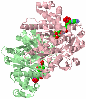 Image Biological Unit 1