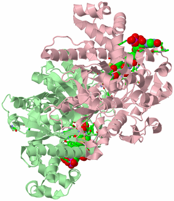 Image Biol. Unit 1 - sites