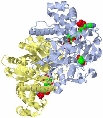 Image Biological Unit 2