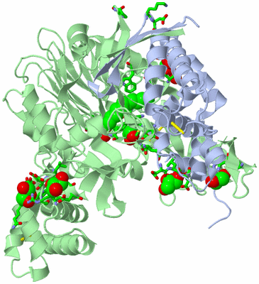 Image Asym./Biol. Unit - sites