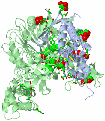 Image Asym./Biol. Unit - sites