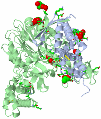 Image Asym./Biol. Unit - sites