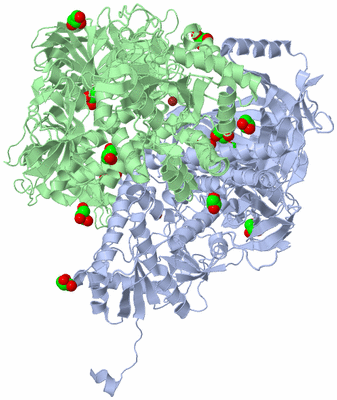 Image Asym./Biol. Unit