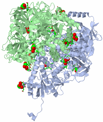 Image Asym./Biol. Unit - sites