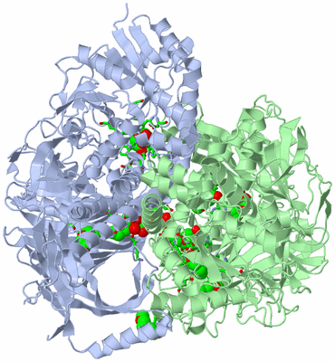 Image Asym./Biol. Unit - sites