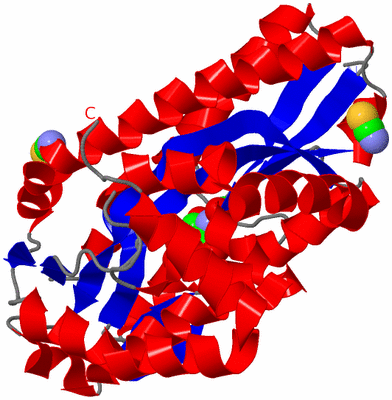 Image Asym./Biol. Unit