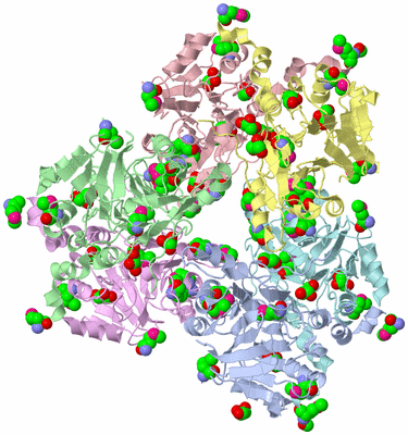 Image Asym./Biol. Unit