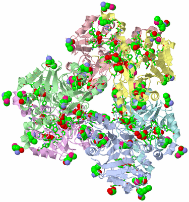 Image Asym./Biol. Unit - sites