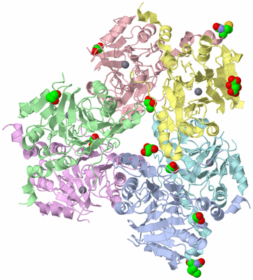 Image Asym./Biol. Unit