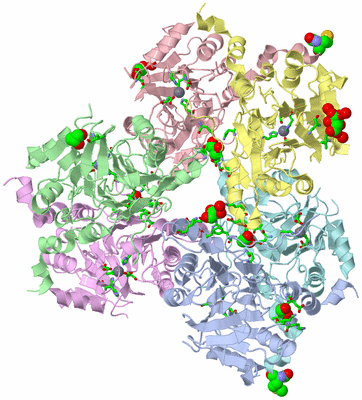 Image Asym./Biol. Unit - sites