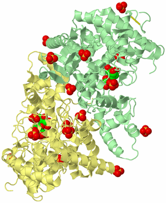 Image Biological Unit 1