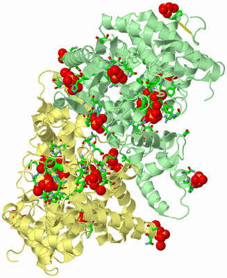 Image Biol. Unit 1 - sites