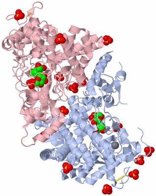 Image Biological Unit 2