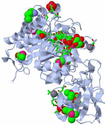 Image Biol. Unit 1 - sites