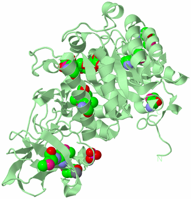 Image Biological Unit 2