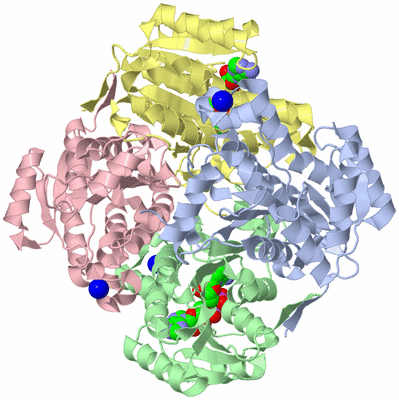 Image Asym./Biol. Unit