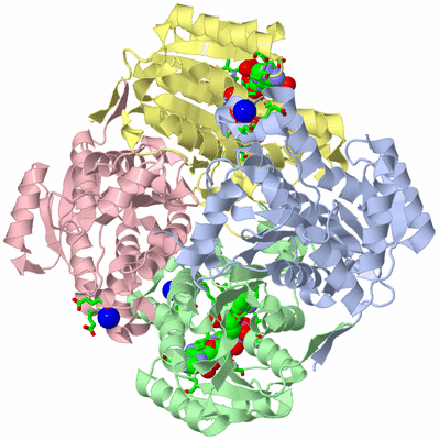 Image Asym./Biol. Unit - sites