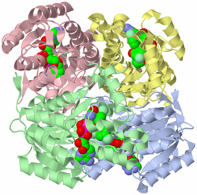 Image Biological Unit 1