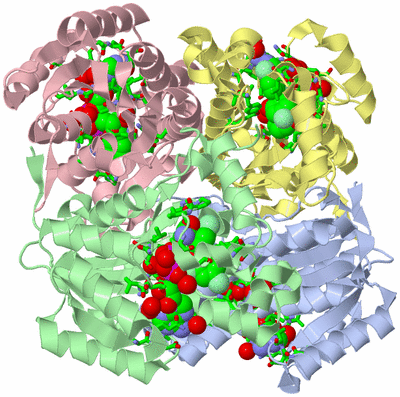 Image Biol. Unit 1 - sites