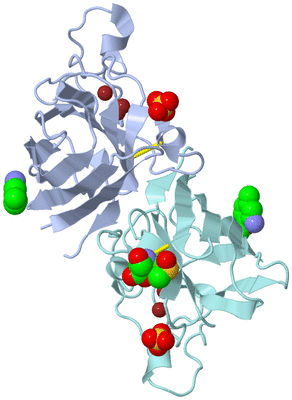 Image Asym./Biol. Unit