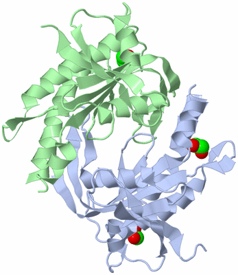 Image Asym./Biol. Unit