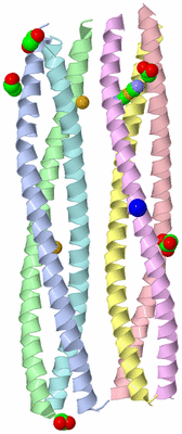 Image Asymmetric Unit