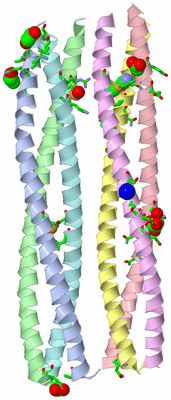 Image Asym. Unit - sites