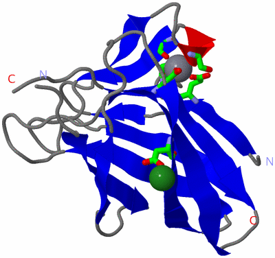 Image Asym./Biol. Unit - sites