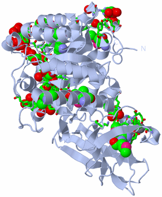 Image Biol. Unit 1 - sites