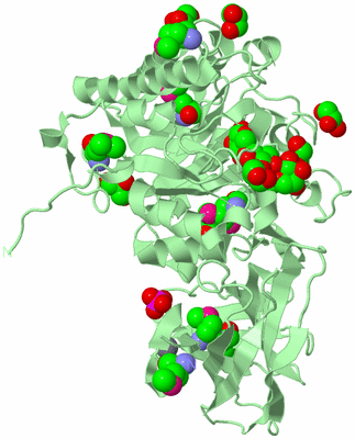 Image Biological Unit 2