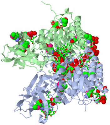 Image Asym. Unit - sites