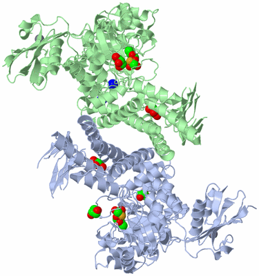 Image Asym./Biol. Unit