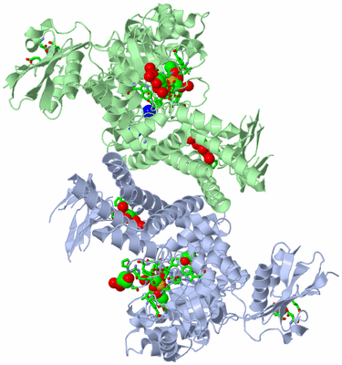 Image Asym./Biol. Unit - sites