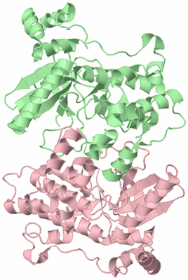 Image Biological Unit 3